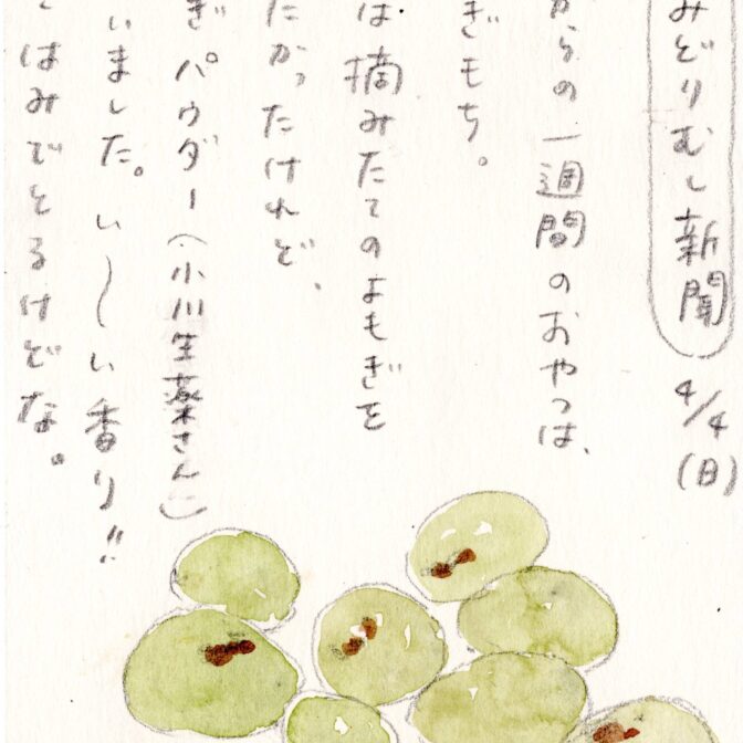 八百屋の絵描き帖 2021 さようなら4月、こんにちは5月号