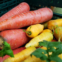 「地に足がつく」ってどういう意味？①