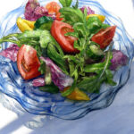 「 夏の庭サラダ 」　2024.07　140×180(mm)