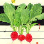 「 春のリズム 」　2025.03　